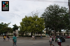 IMG-20211111-WA0041