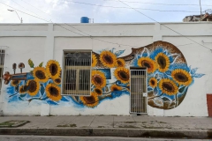 Últimos Murales